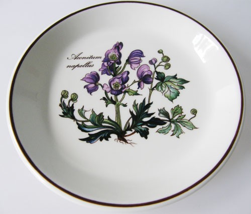 Villeroy &amp; Boch Botanica Untersetzer 13,5 cm / Teller klein