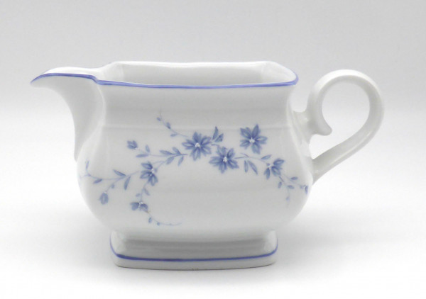 Sauciere Winterling Marktleuthen blaue Blumen