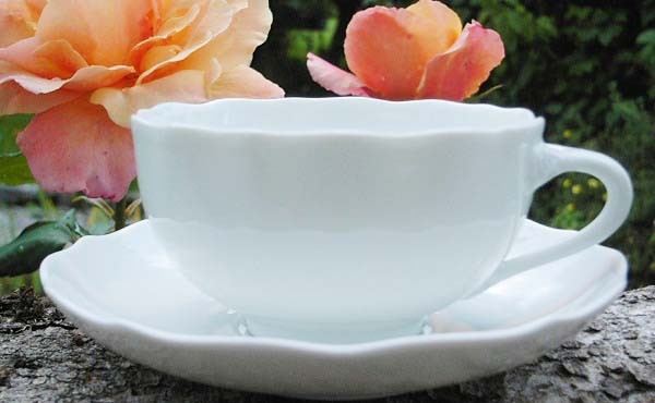 Hutschenreuther Maria Theresia weiß Teetasse mit Untertasse